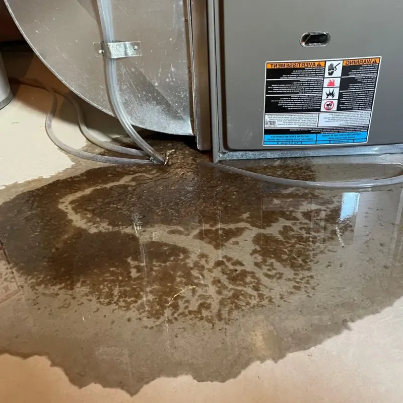 Pipe Burst and Leak Restoration in Cherry Grove, OH