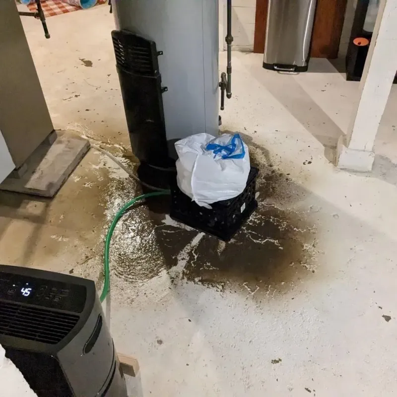 Sewage Backup Cleanup Service in Cherry Grove, OH